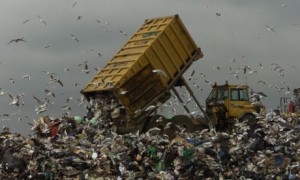 HELP REDUCE LANDFILL